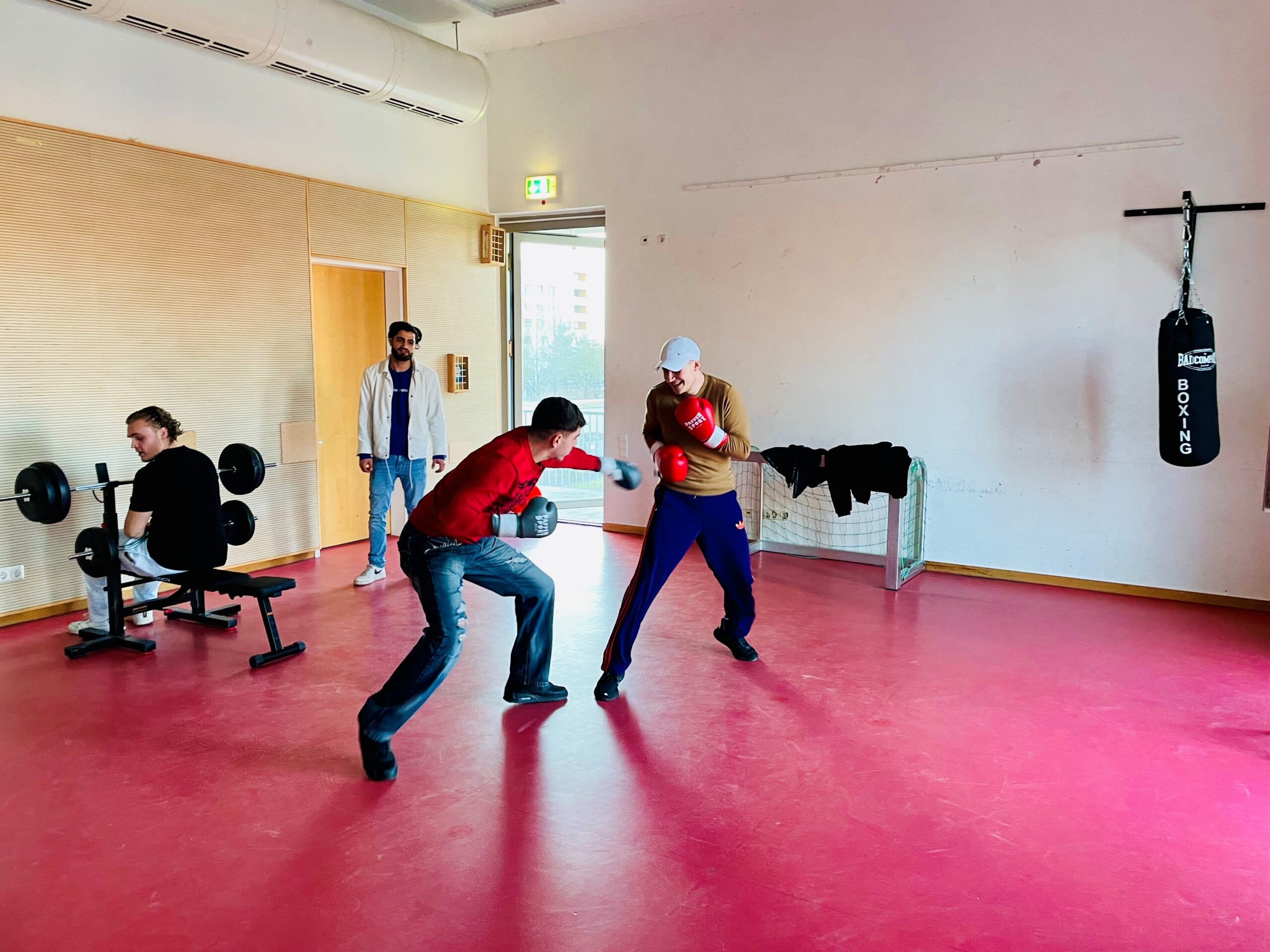 10 Hantelbank & Boxen Neuland